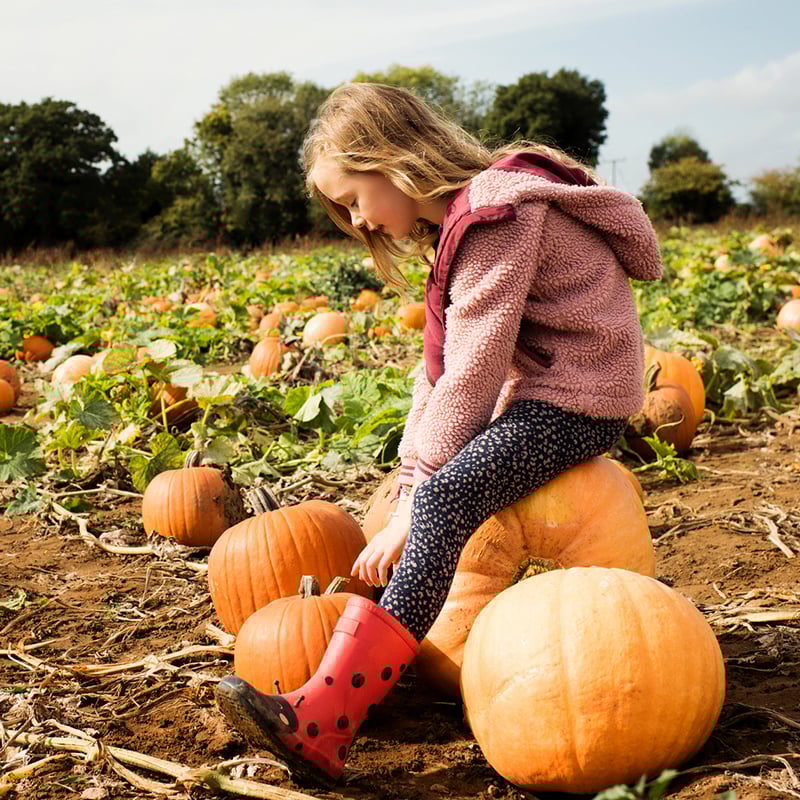 4 Farms Fall Fun