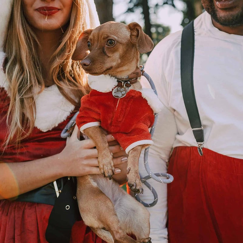 1 Weekend Fun Nov 14 2025