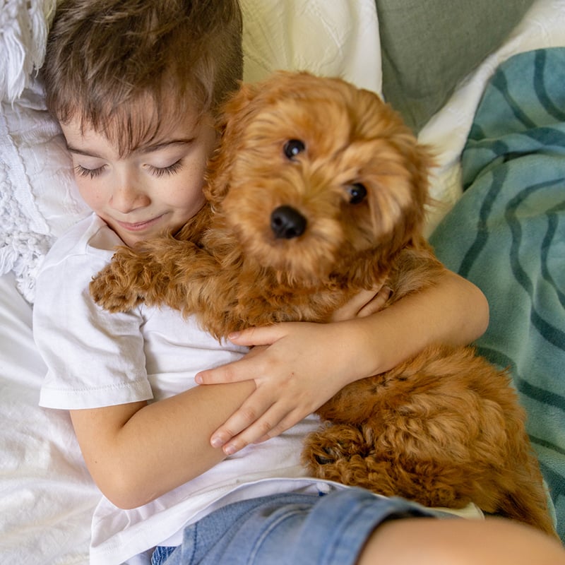 Young Boy Spends Time With The Therapy Dog