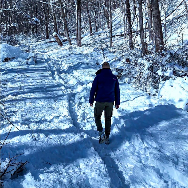 3 Walking Winter Wonderland Web