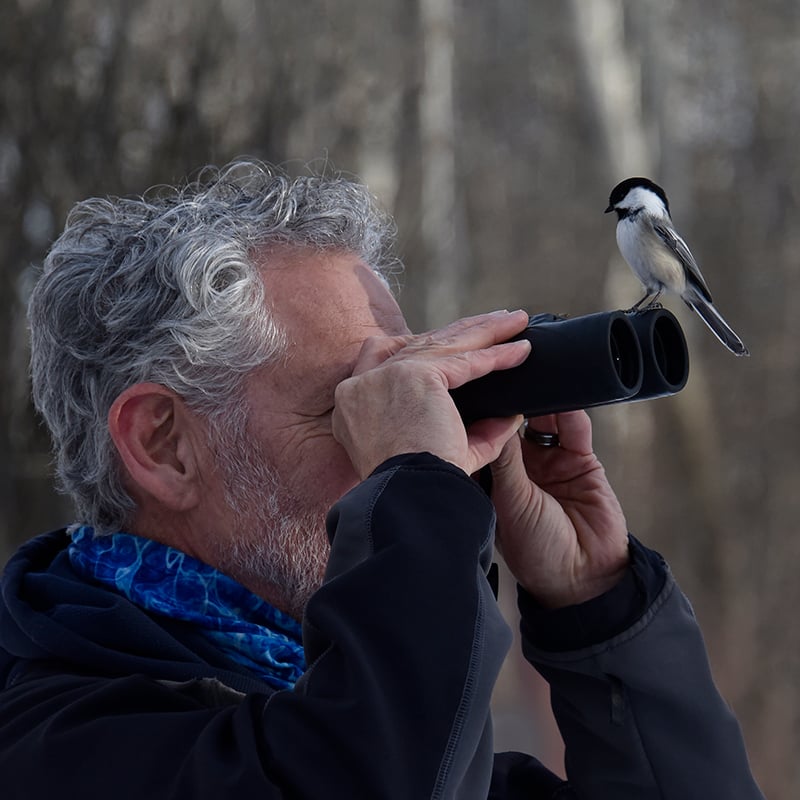 4 Bergen Bucket List