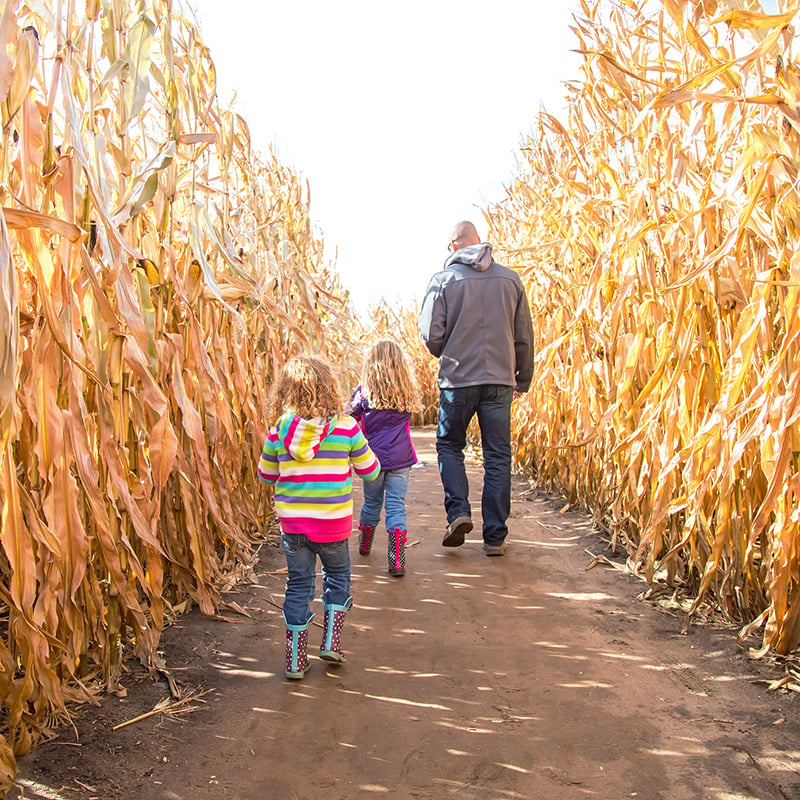 2 Halloween Mazes