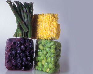 Foodmyths1