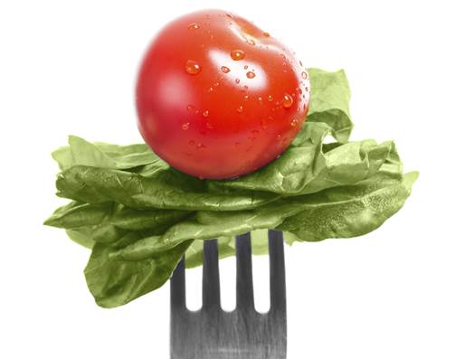 Saladdayscropped