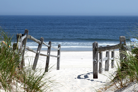 Beacharticle