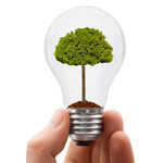 Treeinbulb3