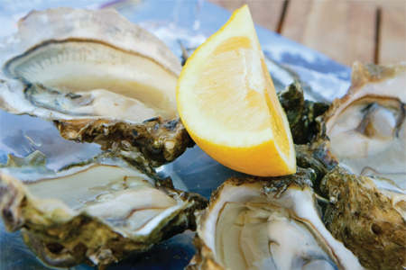 Shoretotableimage