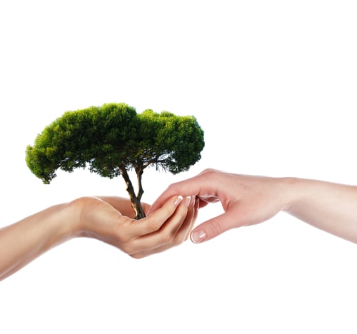 Shutterstock 54794245