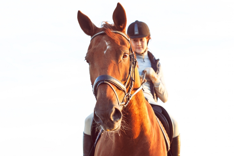 Gettyimages 493586392 Ab7cf700