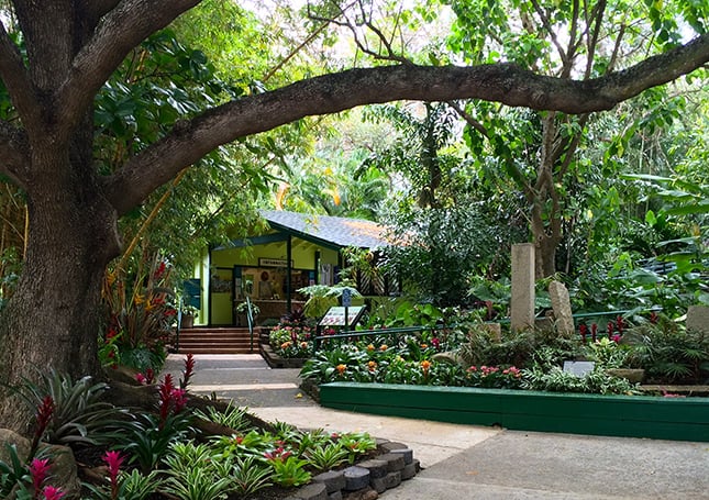 Living History Program Returns To Foster Botanical Garden Khon2