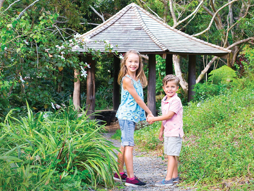 Manoa Valley's Paradise Park could find new life as a cultural oasis