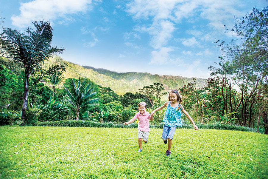 Manoa Valley's Paradise Park could find new life as a cultural oasis