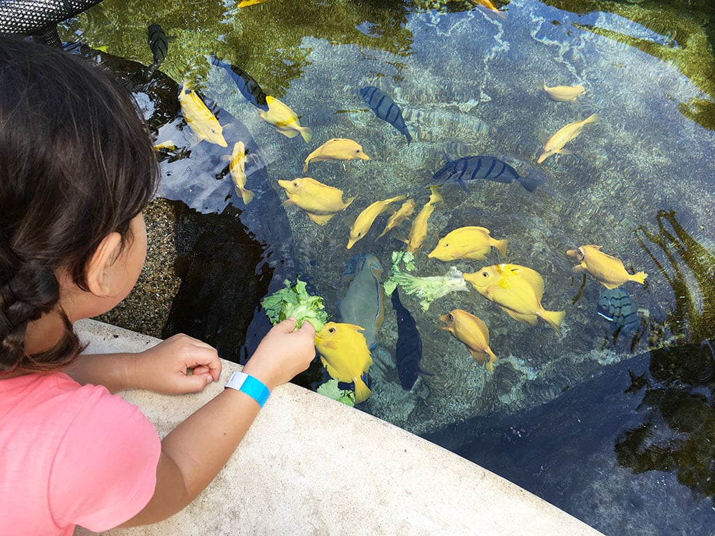 Sea Life Park Oahu Coupons