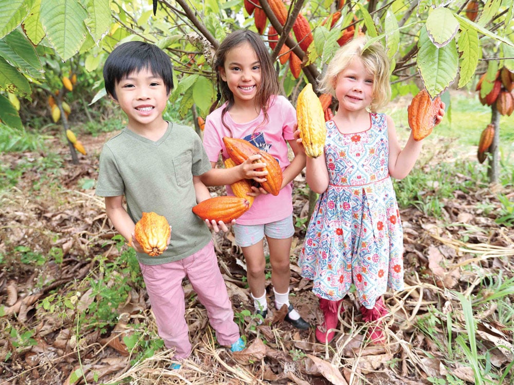 Kids with cacao pods Madre Chocolate