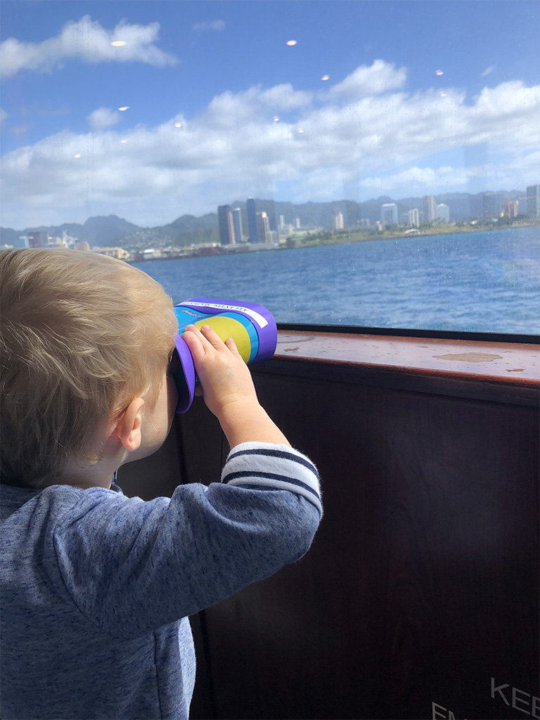 Whale watching in Hawaii