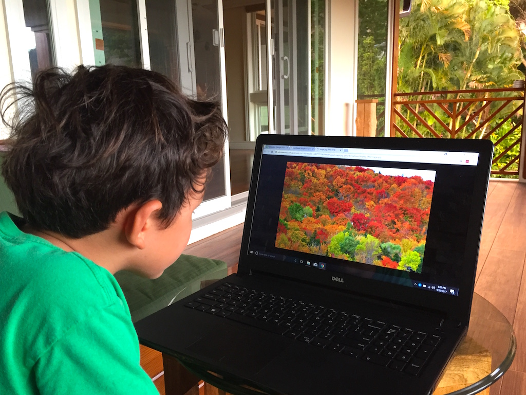 Fall-Foliage-On-Computer-Zane.JPG