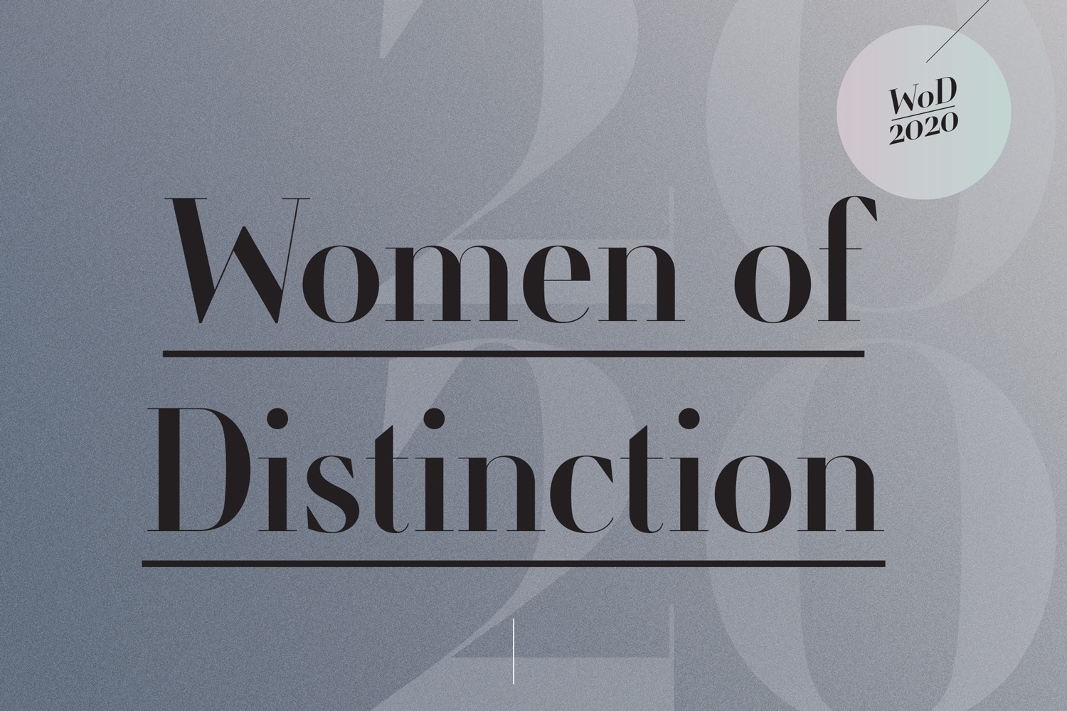 2020 Women Of Distinction Lead 