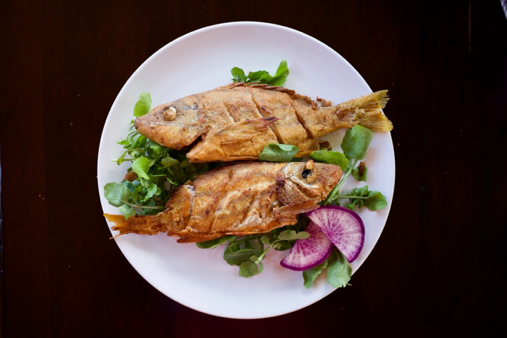 Taape Fried 1200