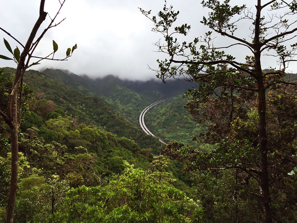 ‘Aiea Loop Trail Family Friendly Trails