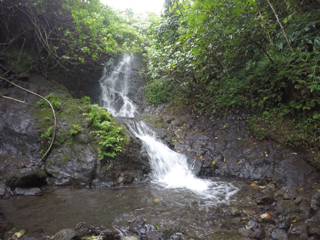 Family Friendly Trails Old Pali Road