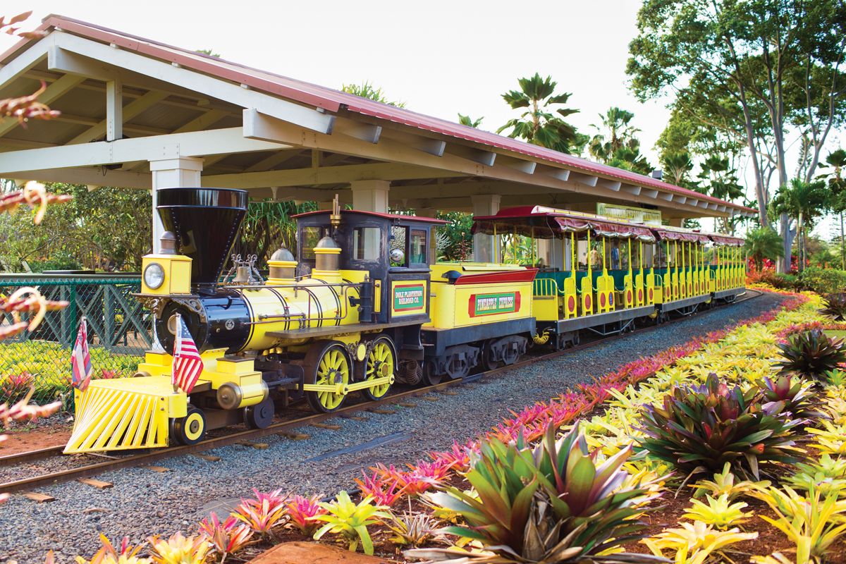 Dole Plantation Train