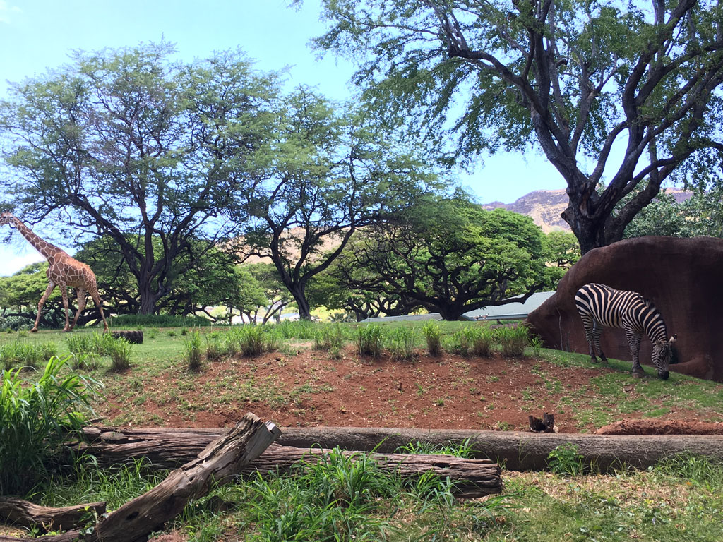 Our Guide: Honolulu Zoo Wide