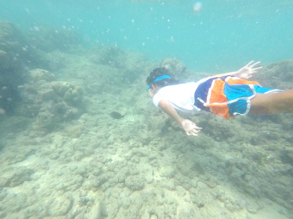 Hanauma-Bay-Snorkeling-Asher-Follows-Fish.jpg