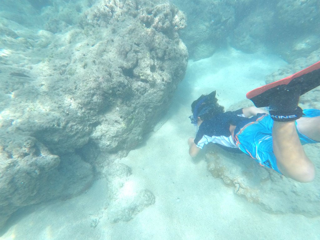 Hanauma-Bay-Snorkeling-Zane-Sea-Cucumber.jpg