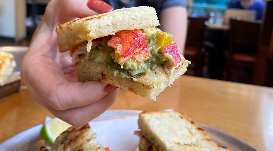 red manicured nails set off a sandwich stuffed with chunks of red lobster meat