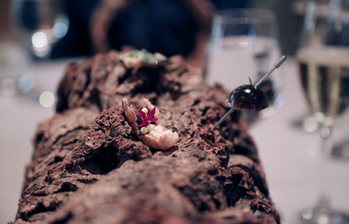 The meal begins with a series of snacks laid out on a log. It's a nice creative touch, considering the two tasting menus are named flora and fauna.