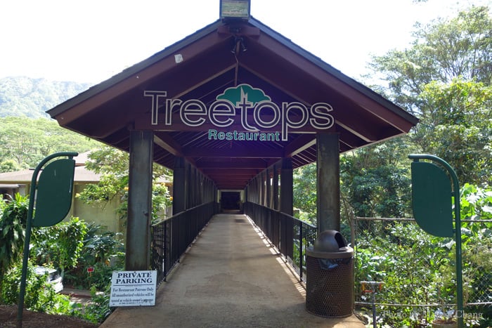 Treetops at Paradise Park.