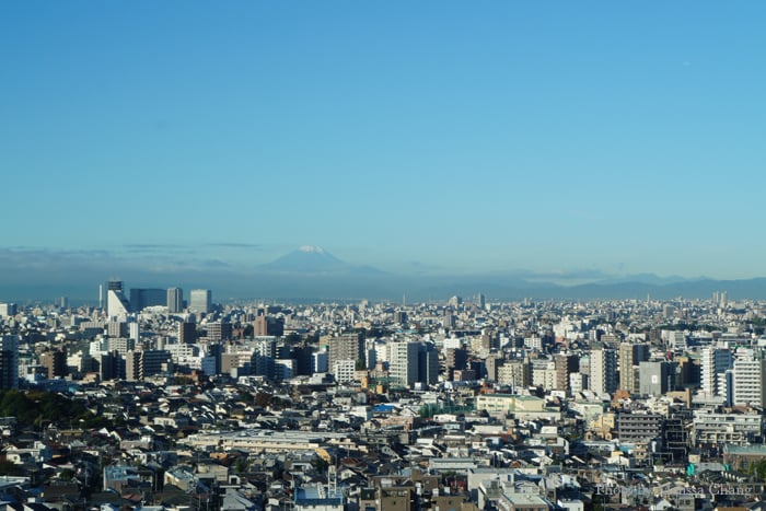 You know it's a nice day in Tokyo when you can see Mt. Fuji.