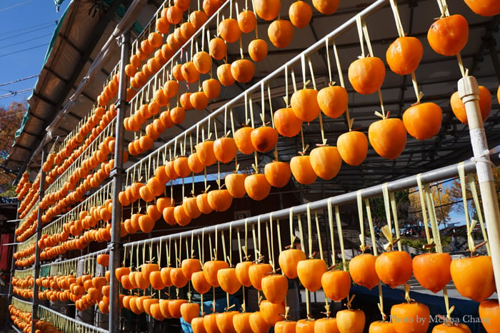 Persimmons drying in Katsunuma. Everyone seems to have their own persimmon tree here.