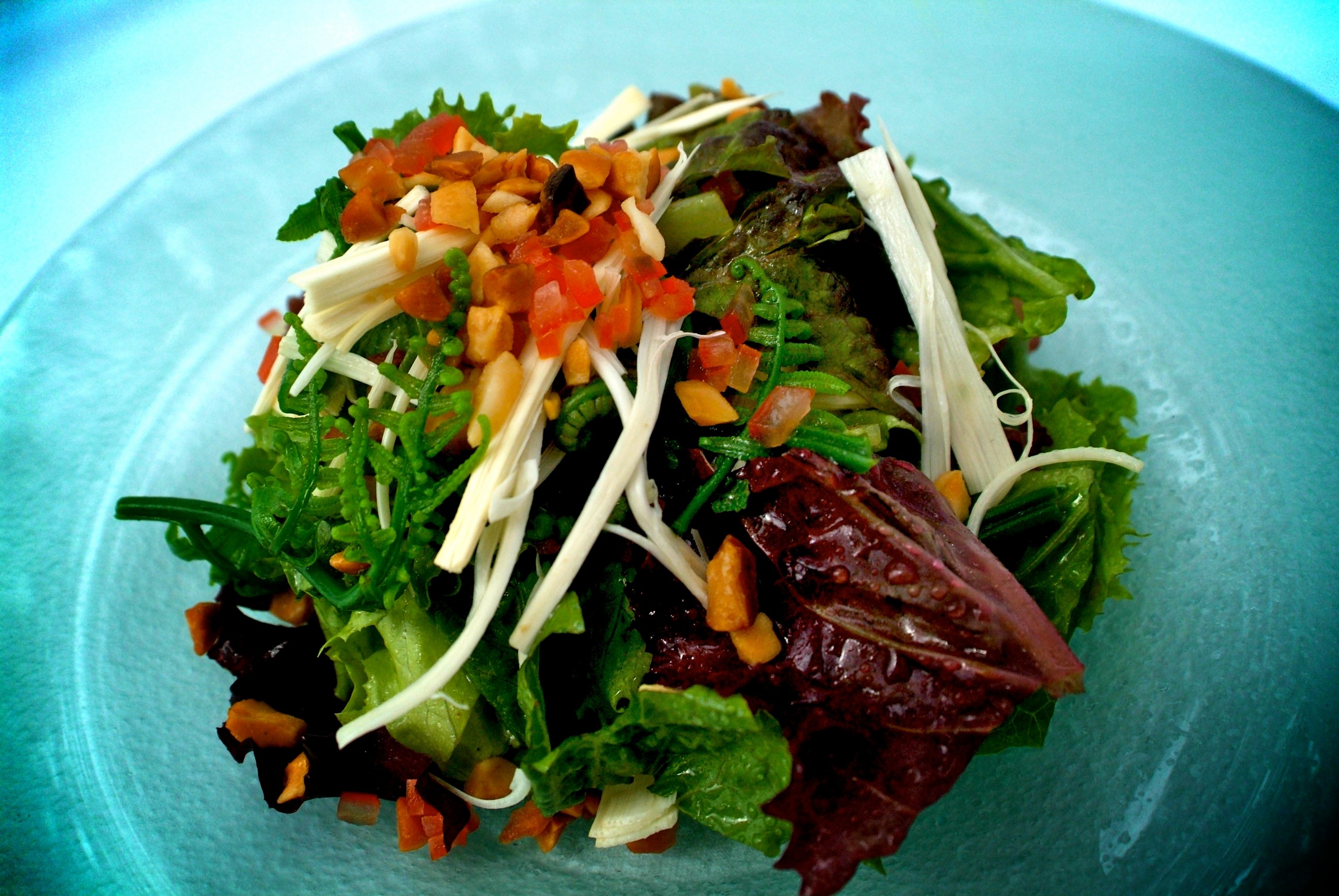 Mauka Harvest-Salad