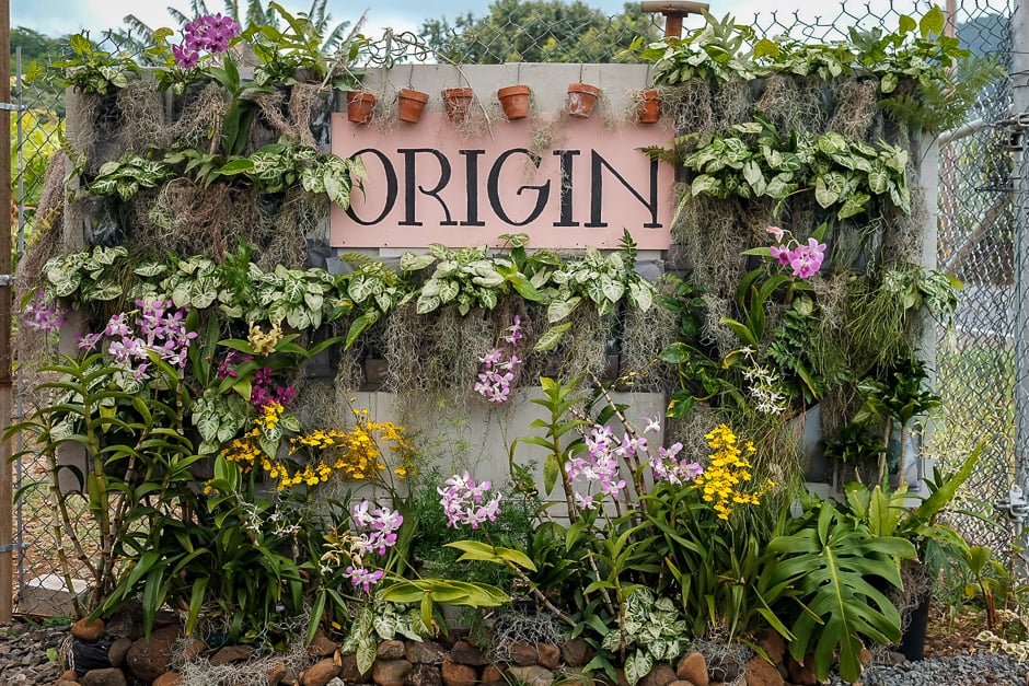Origin vertical garden