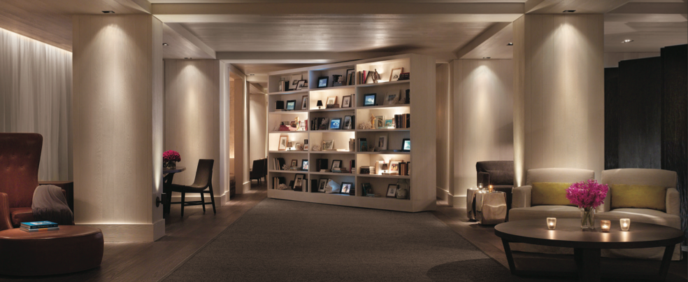 The Study