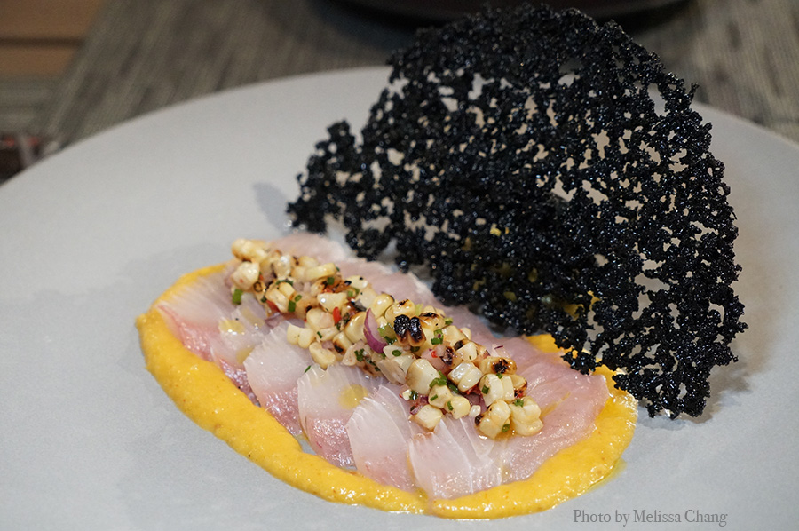 basalt tiradito