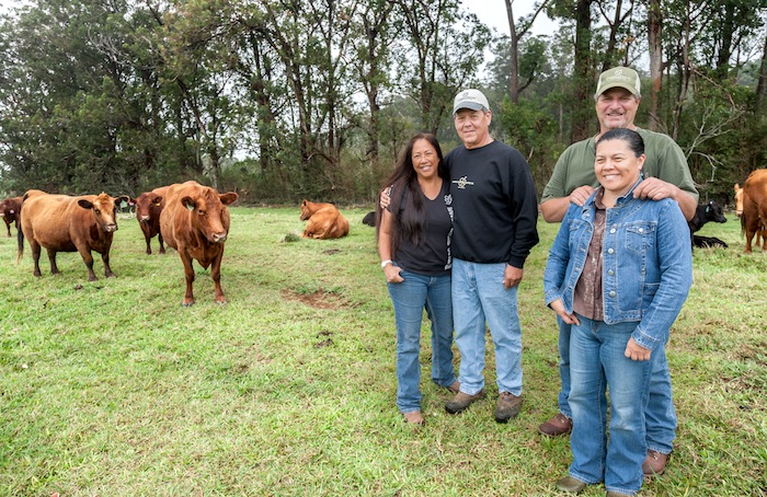cow and lady ranchers