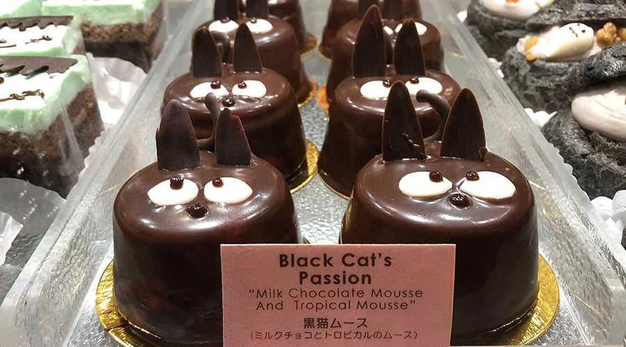 Kulu Kulu black cat