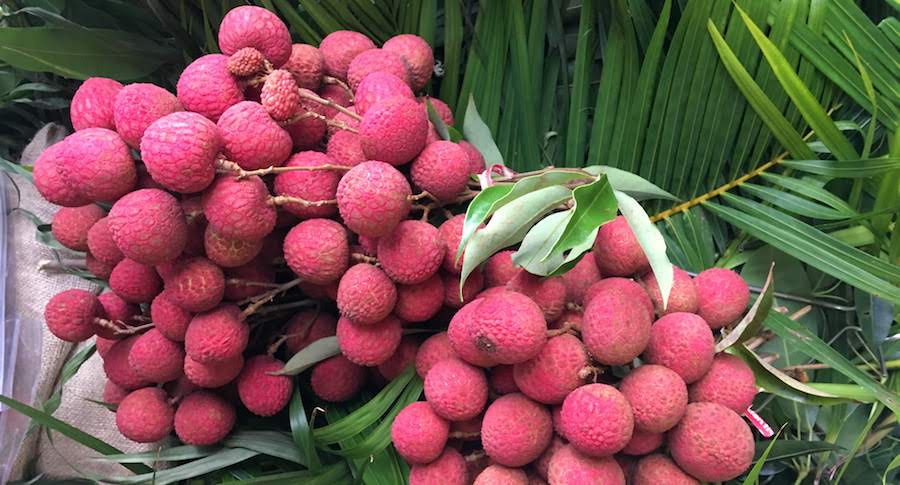 lychee 2