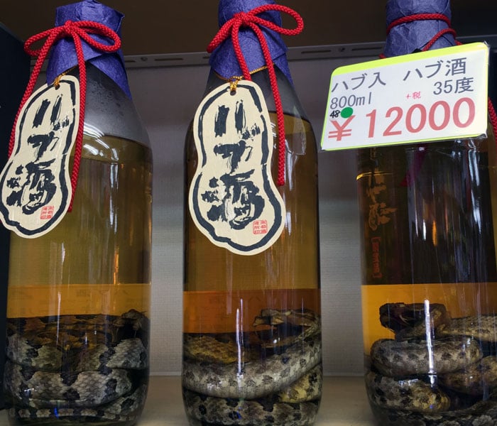 Habushu or Okinawan snake wine is available at many shops in Naha.