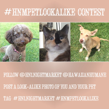 pet-contest-560x560