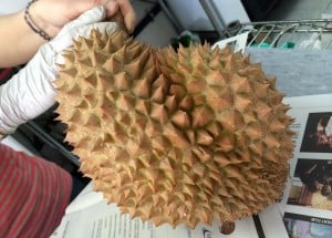 photo-9