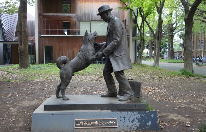 Aloha Tokyo! Visiting Hachiko and the 47