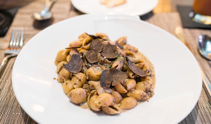 Conchiglie with Scallops & Tuffle cream - Hokkaido scallops, shell pasta, truffles, mushroom cream sauce ($42)