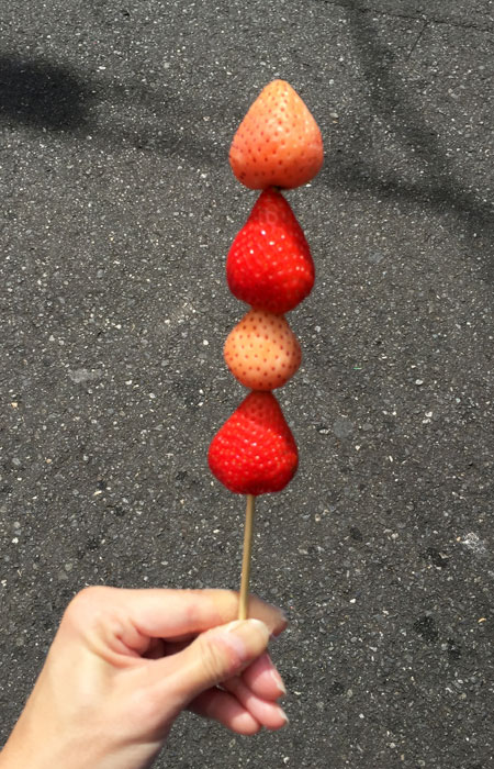 tsukijistrawberryverticalsmaller