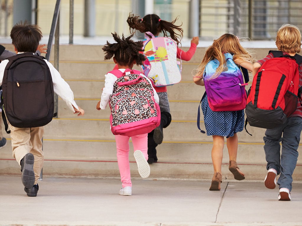Education Cheat Sheet: Finding the Right School Culture