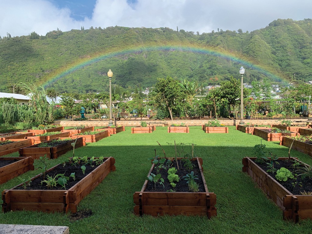 New Urban Garden Project Helps People Living in Vulnerable Communities