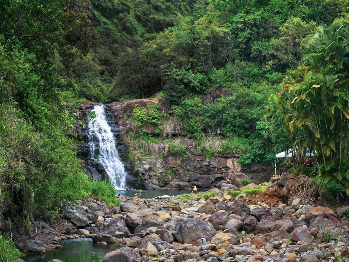 Tour of North Shore & Waimea Waterfall