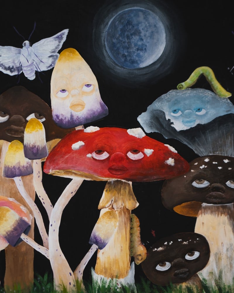 Mushroom Luna Suzuki